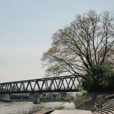 鴨川と河川敷の様子の写真