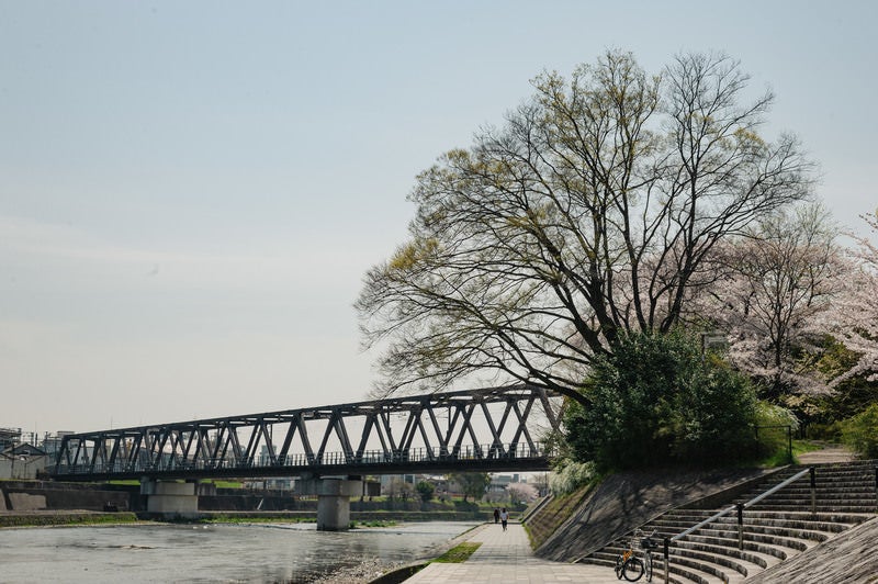 鴨川と河川敷の様子の写真