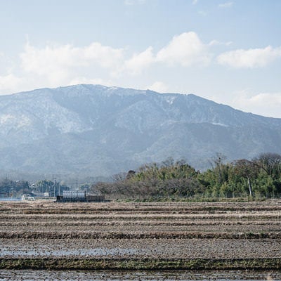 いつもの田園風景の写真