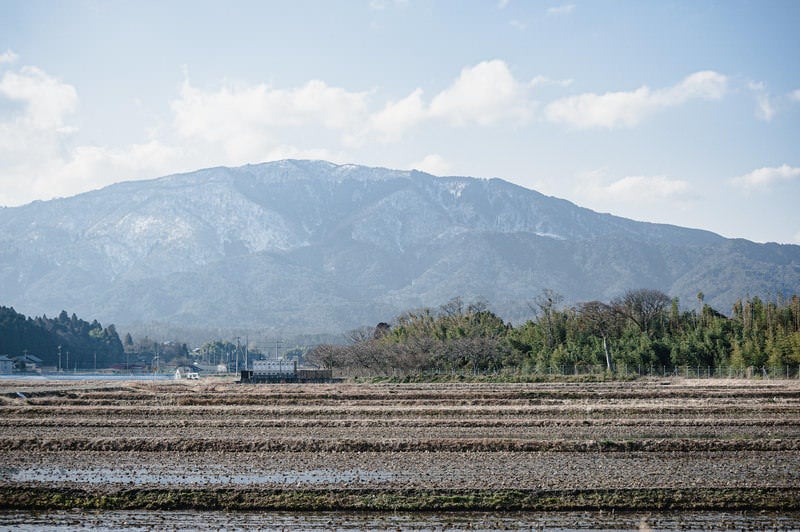 いつもの田園風景の写真