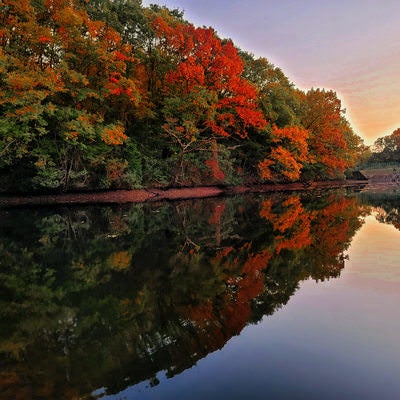 水鏡の夕暮れと紅葉の写真