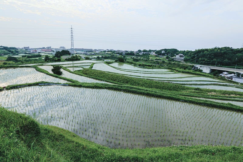 棚田の水田に映る空の写真