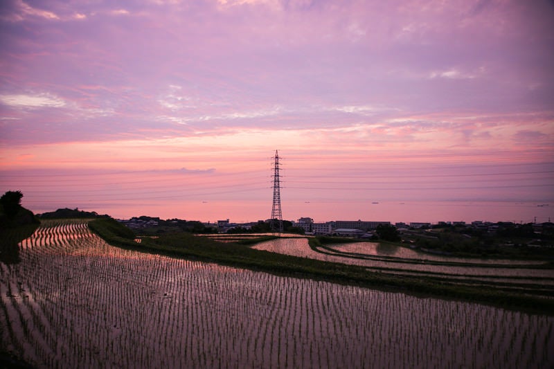 静寂に包まれる日没の棚田の写真