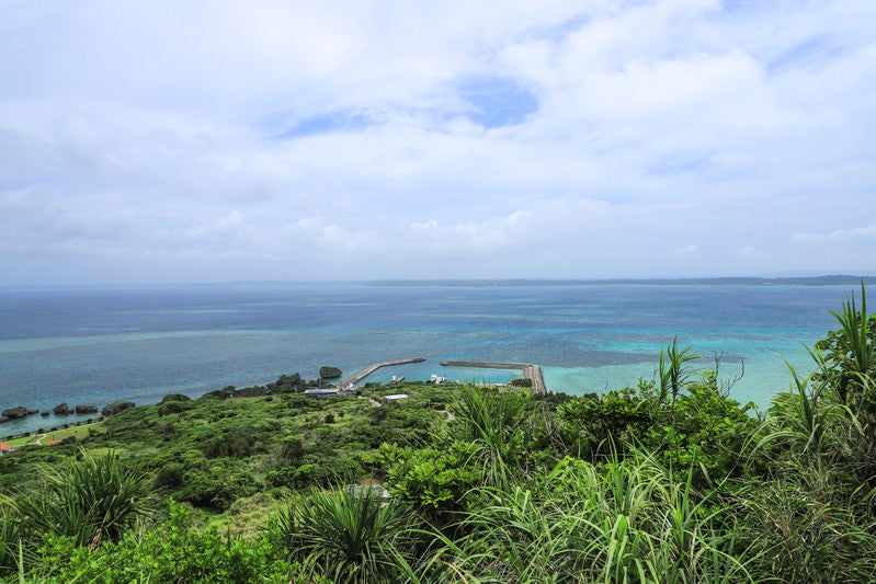 高台から望む海と漁港の写真