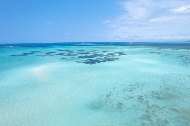 南国の楽園の水平線の写真