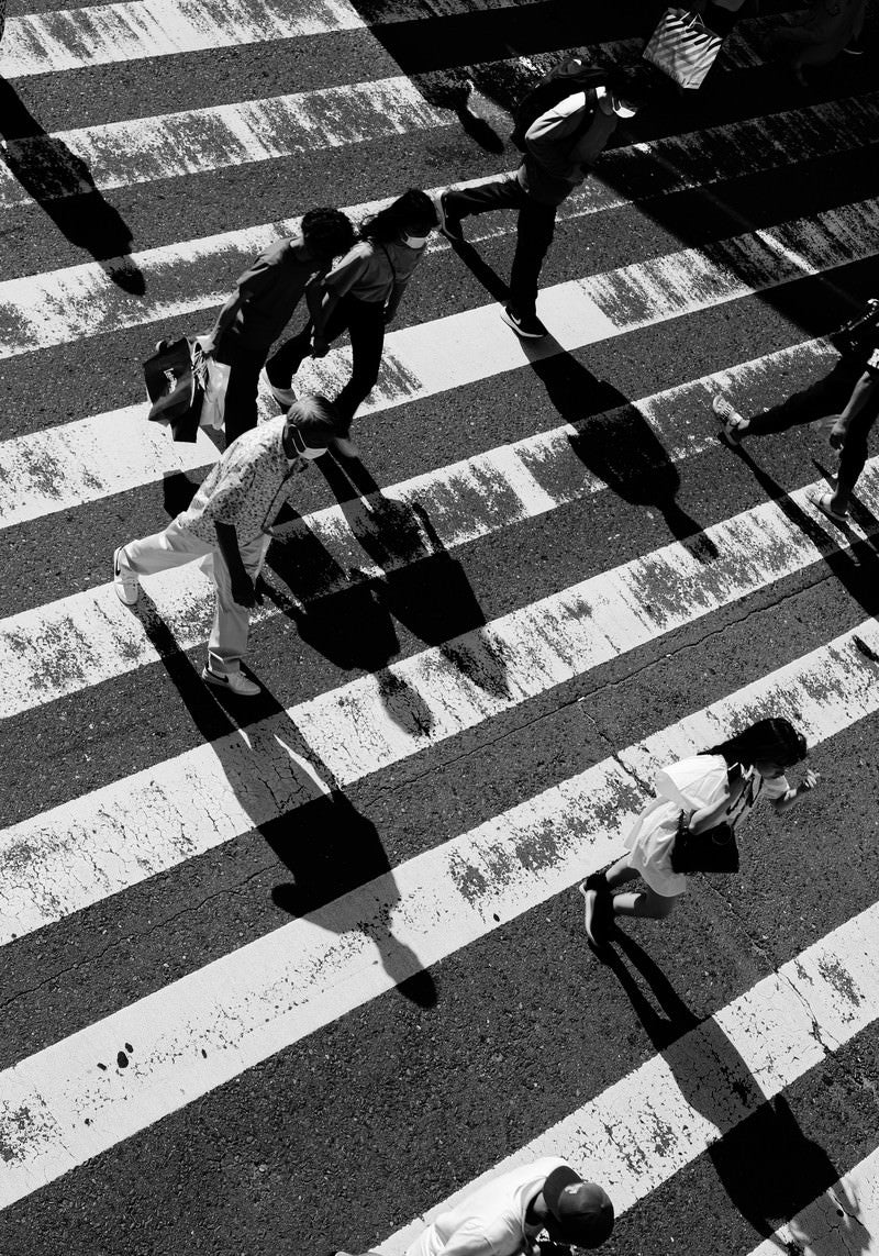 横断歩道に伸びる影の写真