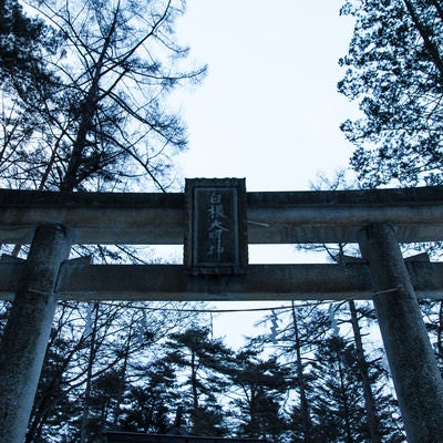 白根大明神の鳥居の写真