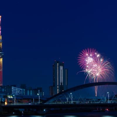 スカイツリーと打ち上がる花火大会の写真