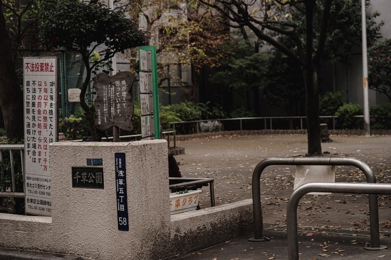 鳩が多くて困っている千草公園（浅草）の写真