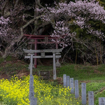 大和田稲荷神社へと続く奉納石柱と鳥居の写真