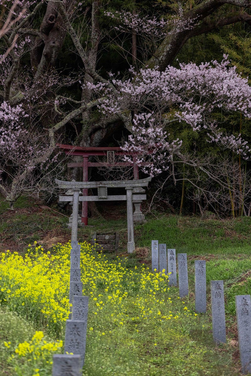 大和田稲荷神社の鳥居へと続く石柱の写真