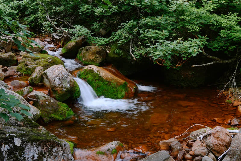 真っ赤な川底の斜里岳渓流の写真