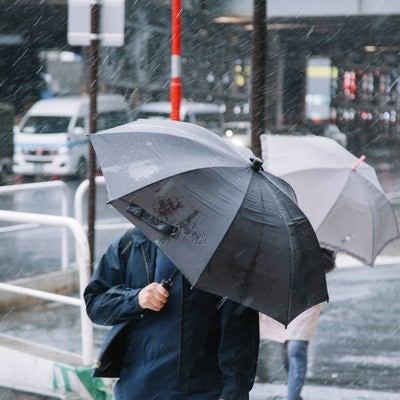 台風の日に傘をさす人の写真