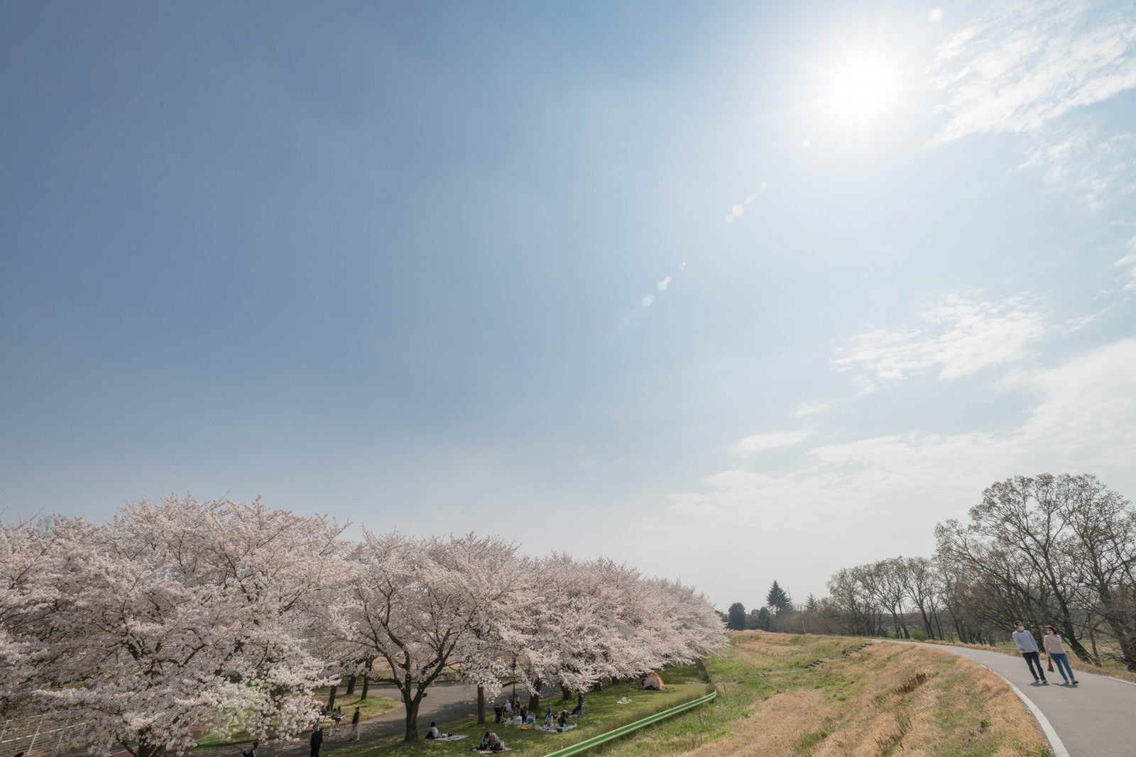 「花見日和」の写真