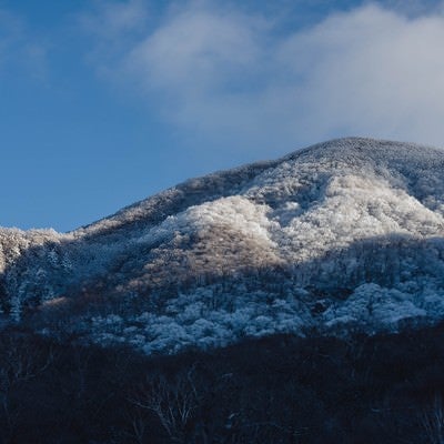 赤城の朝（赤城山）の写真