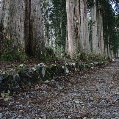 随神門より内側に続く明治維新まであった奥社院坊を偲ばせる石垣の写真