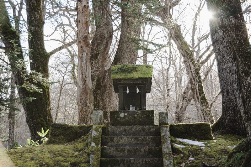 背後から射す日の光にかすむ一龕龍王祠(いっかんりゅうおうし)の写真