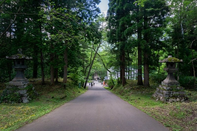 戸隠神社奥社（とがくしじんじゃおくしゃ）参道口へと向かう坂道の写真