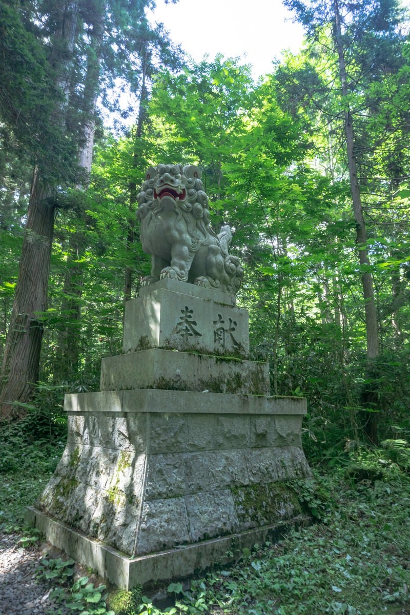 随神門手前に建つ狛犬の写真