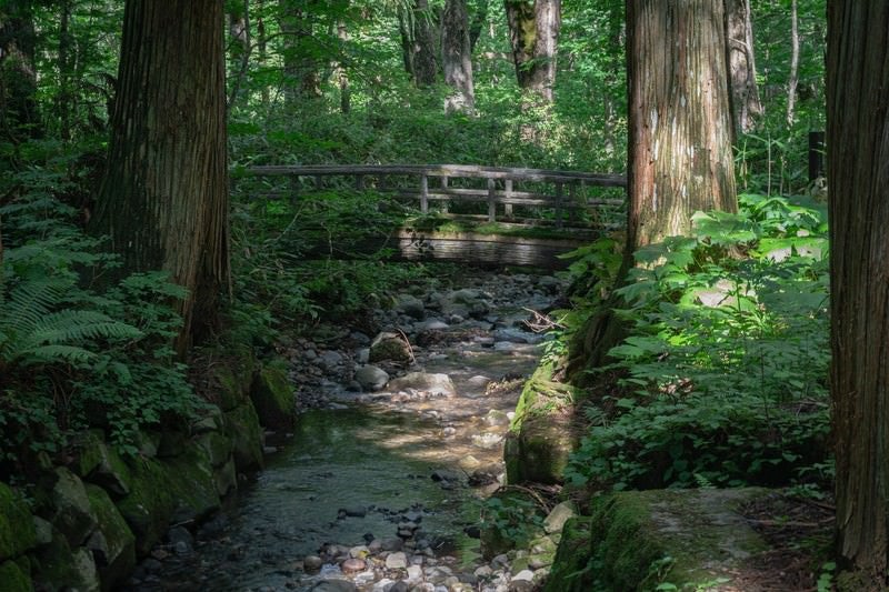 参道横を流れる小川にかかる小さな橋の写真