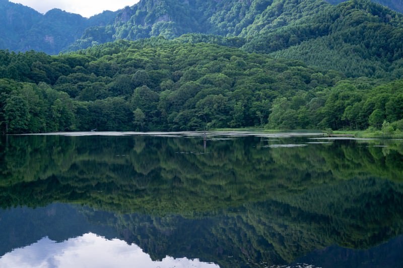 生い茂る木々の緑が美しく水面に映える鏡池の写真