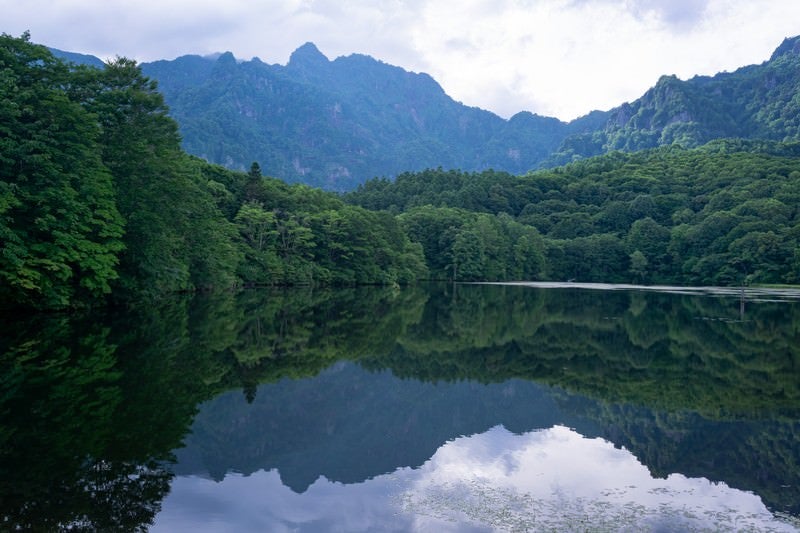 圧倒される程の緑が埋め尽くす鏡池周囲の豊かな森の写真