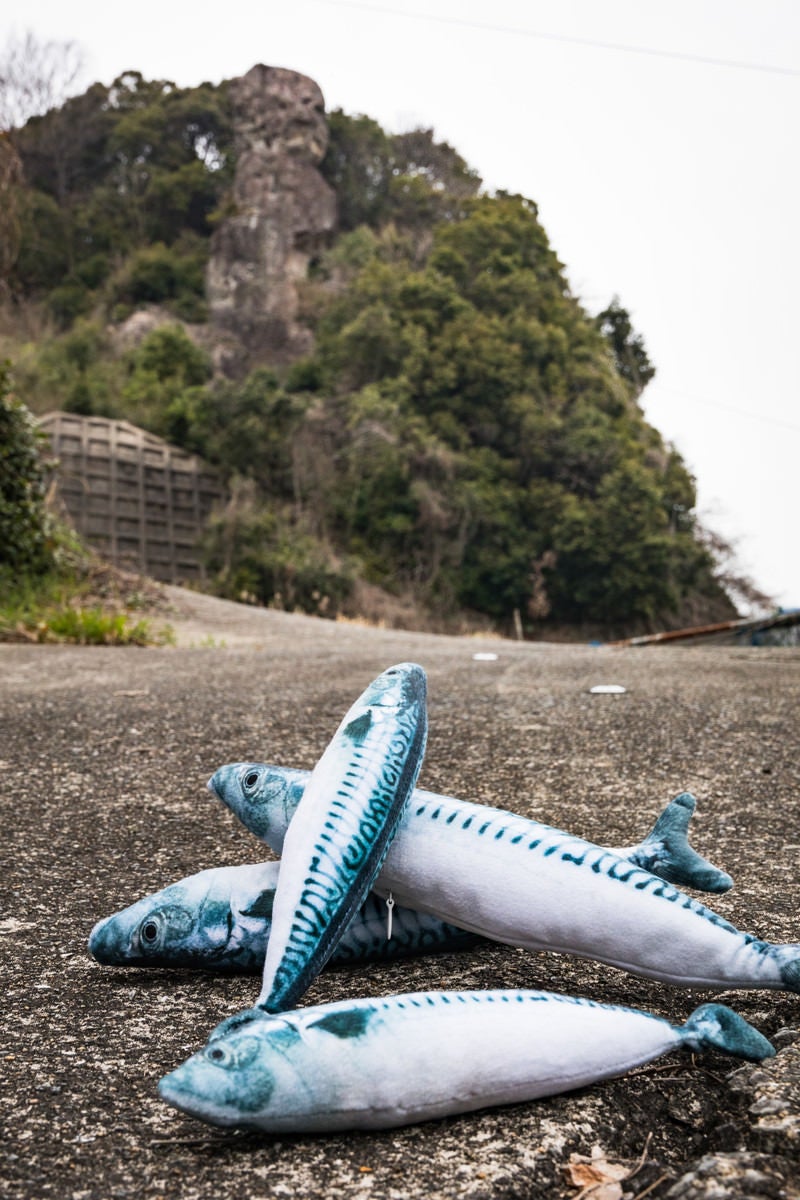 鯖くさらかし岩と鯖（ぬいぐるみ）の写真