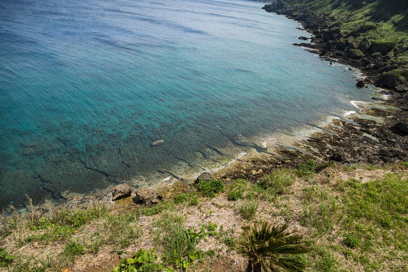 犬田布岬の海岸の写真