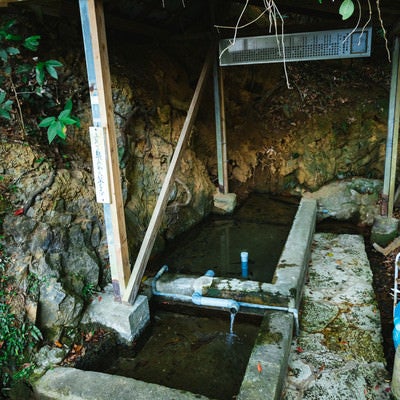 徳之島随一の湧き水。東又泉（アガリマタイジュン）の写真