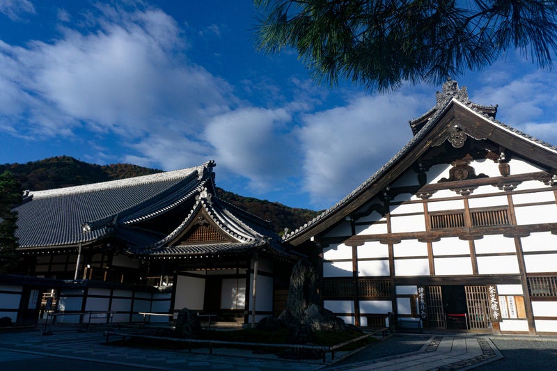 日の光を受けて光る白い壁が美しい天龍寺の庫裏と左手の壁の向うに見える大方丈の写真