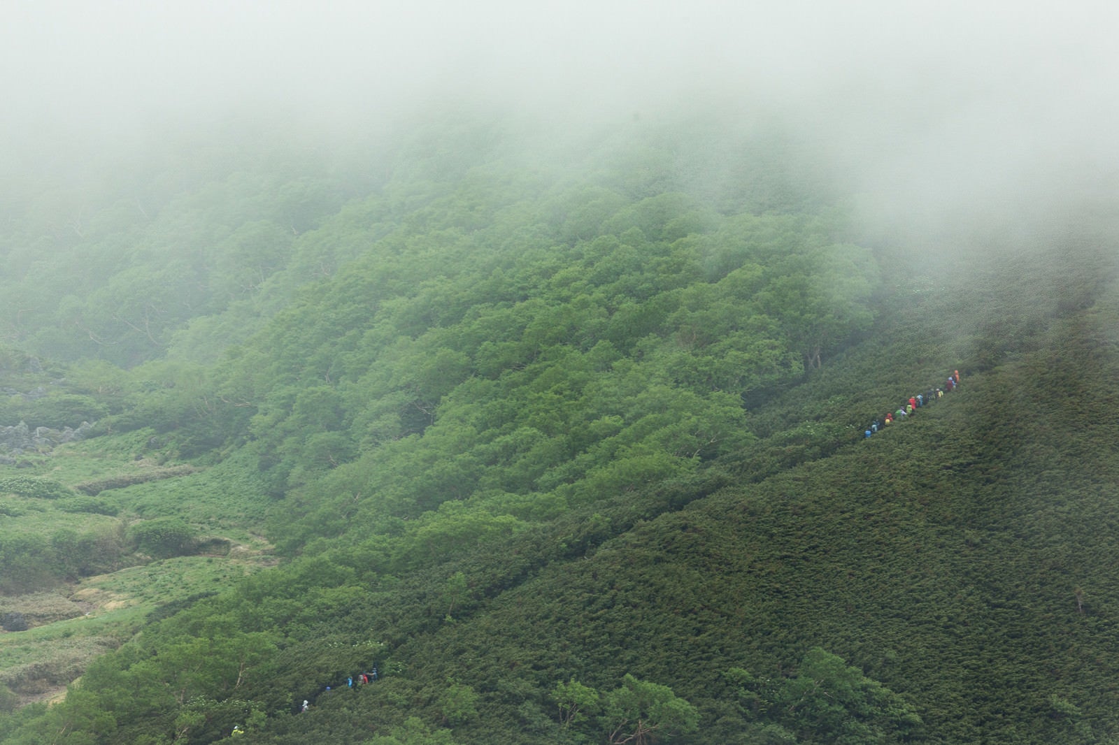 「霧が多い山の中をすすむ登山者一行」の写真