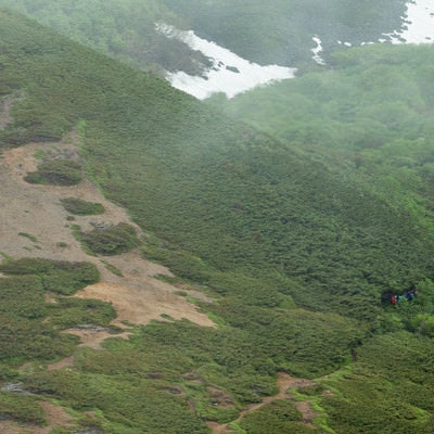 新緑の乗鞍新登山道を歩く登山者の写真