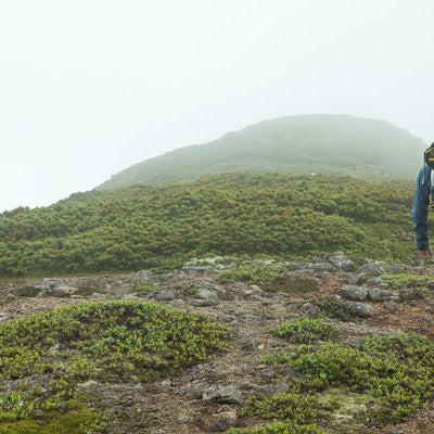 傾斜のある登山道を歩くの写真