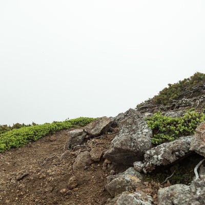 辺りが霧で真っ白な登山道の写真