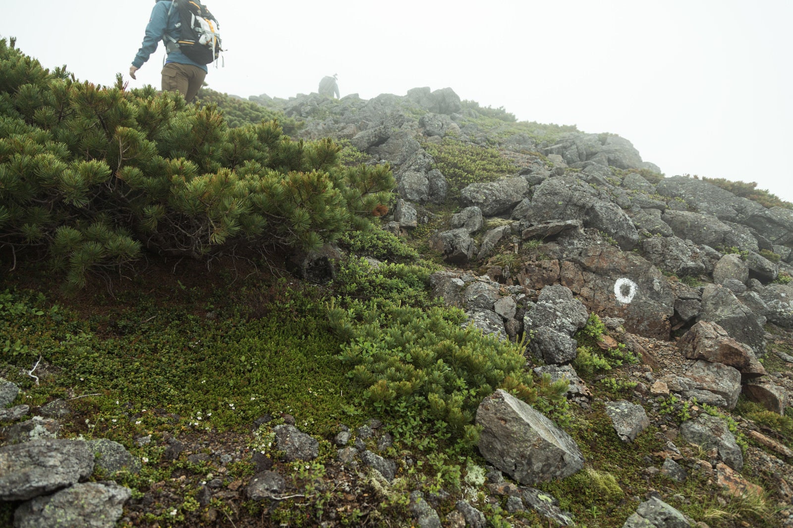 「険しい岩場を歩く（乗鞍新登山道）」の写真