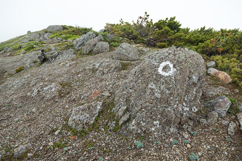 登山ルートの目印が書かれた岩の写真