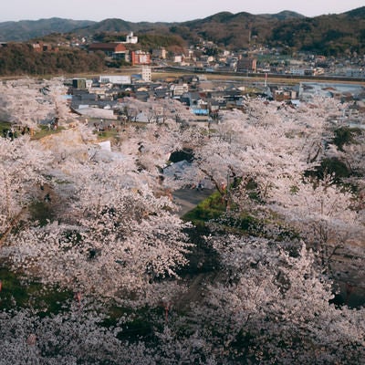  津山城跡から眺める津山の街並みの写真