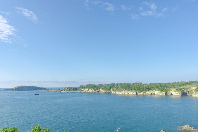 東尋坊北側から雄島まで続く松林と海食崖と海食洞の写真