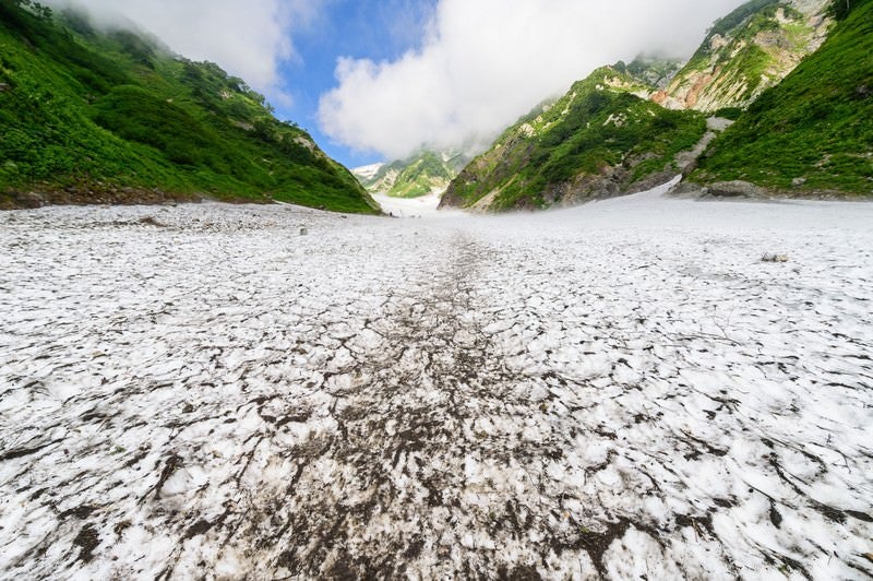 遥かに続く白馬大雪渓（白馬岳）の写真