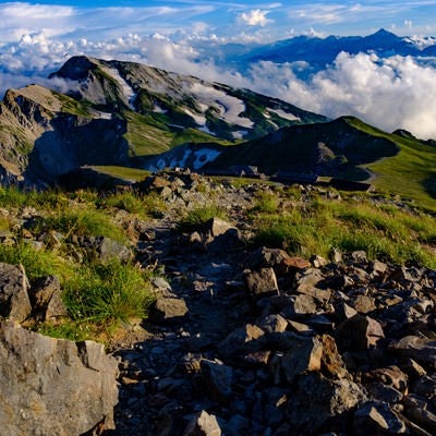 白馬岳稜線の登山道から見る白馬連峰と立山連峰の写真