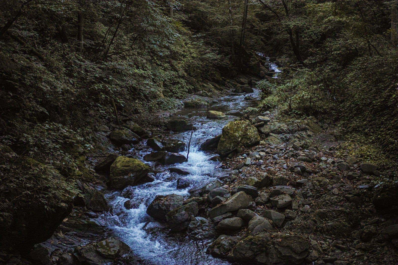 「三頭山の渓谷」の写真