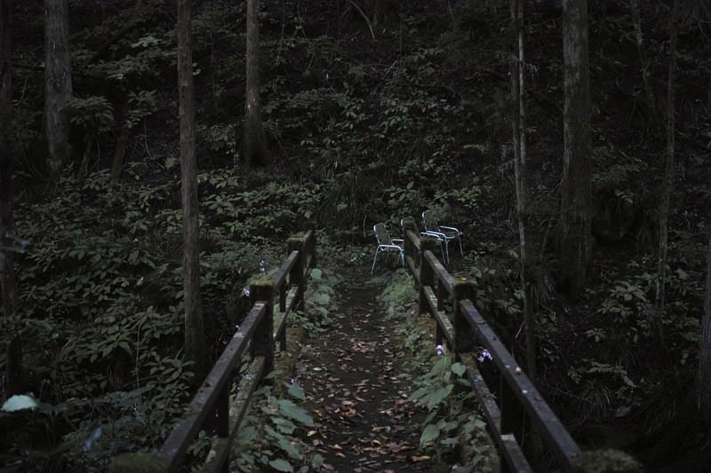 三頭山の遊歩道の写真