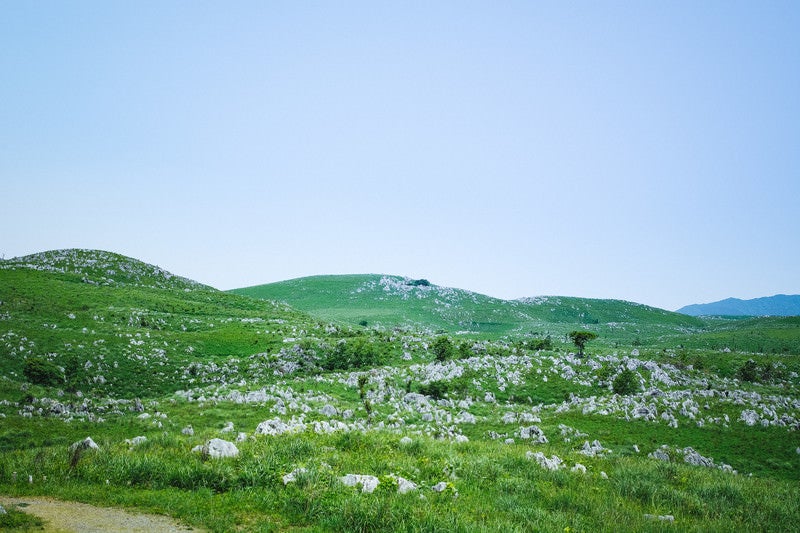 果てしなく続く雄大なカルスト台地（山口県美祢市）の写真