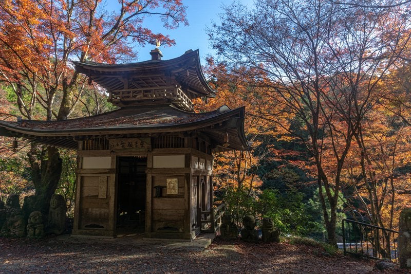 赤く染まる木々に囲まれた愛宕念仏寺のふれ愛観音堂の写真