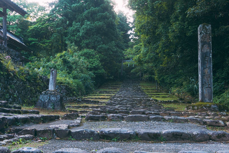 早朝の空気に包まれた白山神社の社号標と精進坂の写真