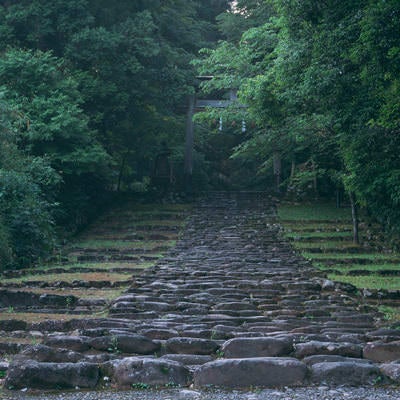 精進坂の先に見える一の鳥居の写真