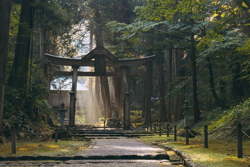 降り注ぐ光芒を背景に建つ上に三角の屋根がある仏教と神道の合一を現す山王鳥居の平泉寺白山神社の二の鳥居の写真