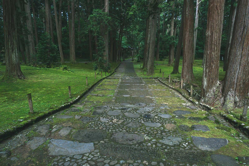 白山神社拝殿下より見た二の鳥居の写真