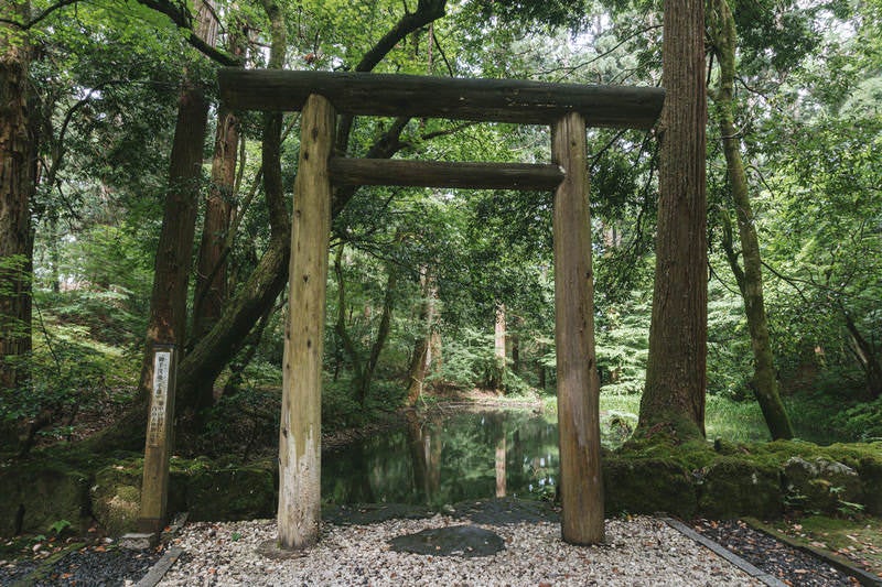 御手洗池の畔に建つ鳥居から池を眺めるの写真