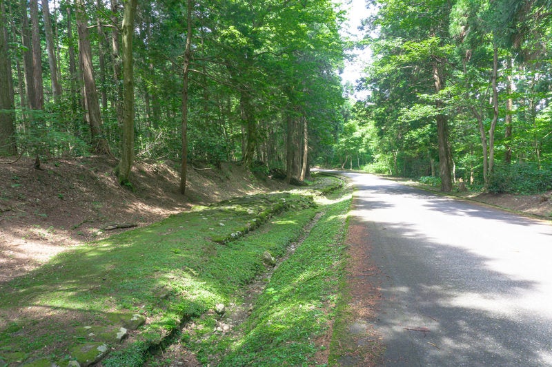 下馬の大橋へと引き返す車道脇に続く苔むした旧参道の石畳の写真